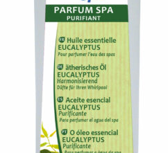 Parfum pour spa à l'Eucalyptus